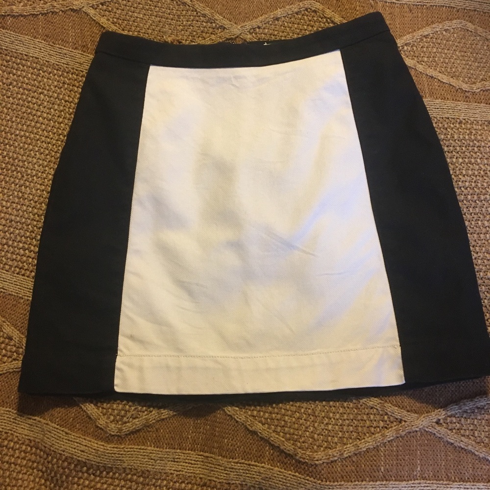 LOFT skirt